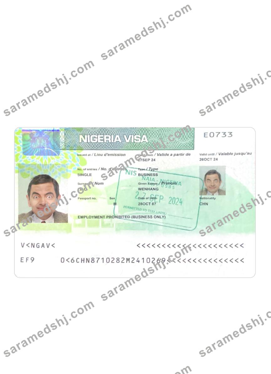 Nigeria visa 2024-present